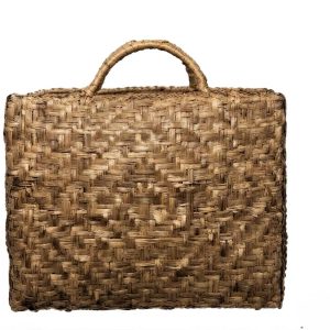 Small Luggage Style Wild Grape Vine Woven Bag